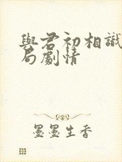 与君初相识大结局剧情