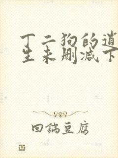 丁二狗的逍遥人生未删减下载