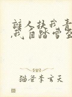 谁人扶我青云志,我自踏雪至山巅