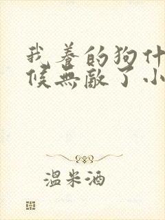 我养的狗什么时候无敌了小说免费阅读封面