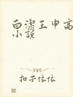 白洁王申高校长小说