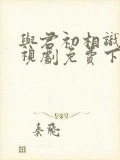 与君初相识 电视剧免费下载