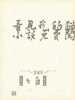 看见我的猫了吗小说免费阅读