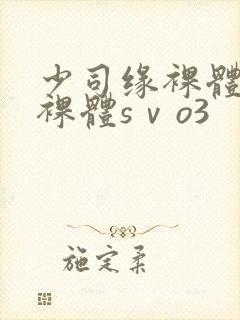 少司缘裸体开腿裸体sⅴo3封面