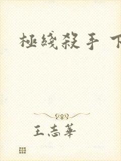 极线杀手 下载封面