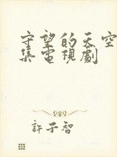 守望的天空30集电视剧