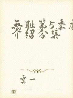 无耻第5季剧情介绍分集