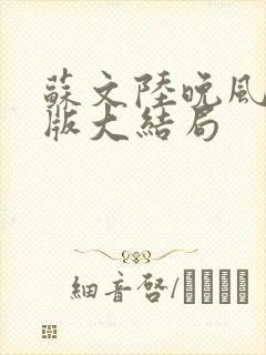 苏文陆晚风完整版大结局封面