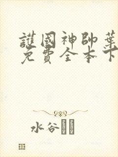 护国神帅叶无道免费全本下载