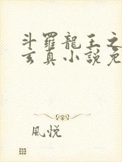 斗罗龙王之太极玄真小说免费阅读封面