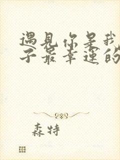 遇见你是我这辈子最幸运的事