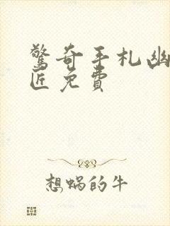 惊奇手札幽冥诡匠免费