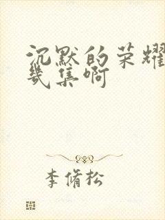 沉默的荣耀一共几集啊