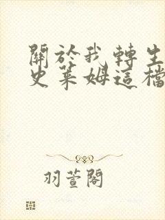 关于我转生变成史莱姆这档事小说