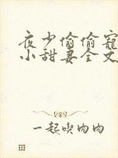 夜少偷偷宠他的小甜妻全文阅读