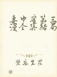 妻中蜜第三集动漫全集结局在线观看