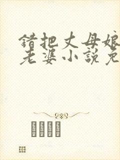 错把丈母娘当成老婆小说免费阅读