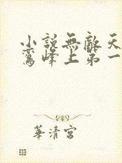 小说无敌天命青鸾峰上第一集封面