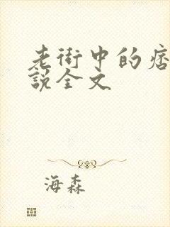 老街中的痞子小说全文