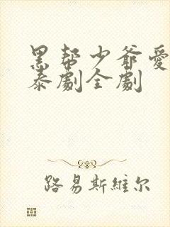 黑帮少爷爱上我泰剧全剧