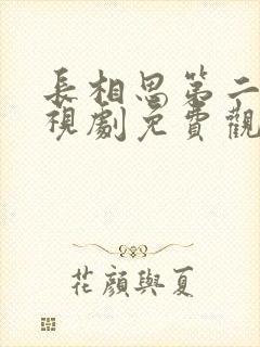 长相思第二季电视剧免费观看完整