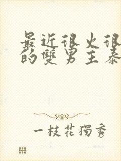 最近很火很好看的双男主泰剧2023