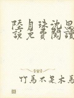 陆月珠沈思诚小说免费阅读最新章节