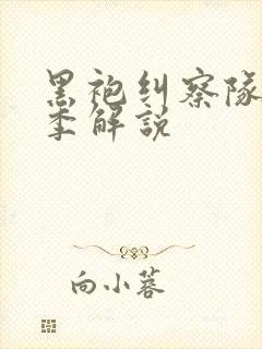 黑袍纠察队第五季解说