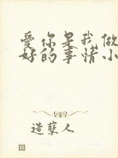 爱你是我做过最好的事情小说