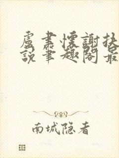 卢聿怀谢扶盈小说笔趣阁最新章节封面