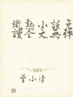 炽热小说免费阅读全文无弹窗封面