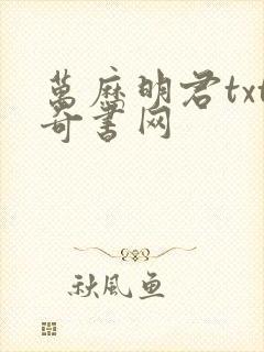 万历明君txt奇书网