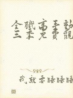 全职高手动漫第三季免费观看全集