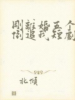 刚离婚五个女神倒追我短剧