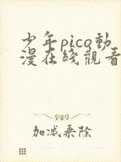 少年pico动漫在线观看完整版免费高清