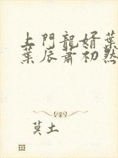 上门龙婿叶辰 叶辰萧初然