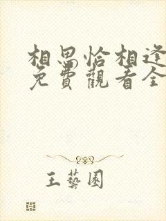 相思恰相逢短剧免费观看全集