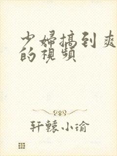 少妇搞到爽高潮的视频