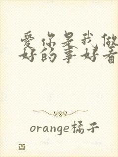 爱你是我做过最好的事好看吗