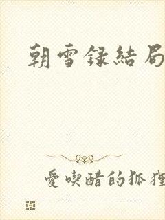 朝雪录结局封面