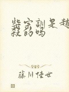 柴宗训是赵匡胤杀的吗