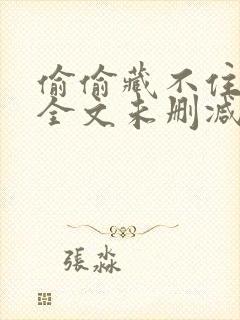 偷偷藏不住小说全文未删减版