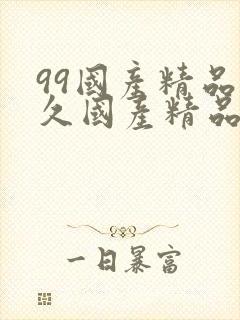 99国产精品久久国产精品封面