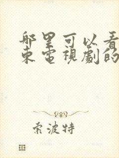 哪里可以看谢文东电视剧的完整版