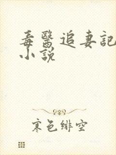 毒医追妻记gl小说