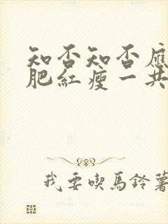 知否知否应是绿肥红瘦一共几集