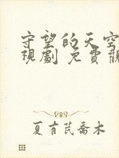 守望的天空 电视剧 免费观看