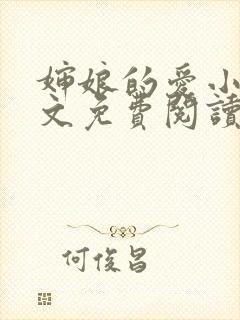 婶娘的爱小说全文免费阅读封面
