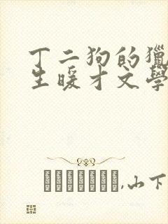 丁二狗的猎艳人生暖才文学网