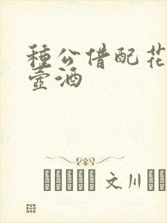 种公借配花间一壶酒